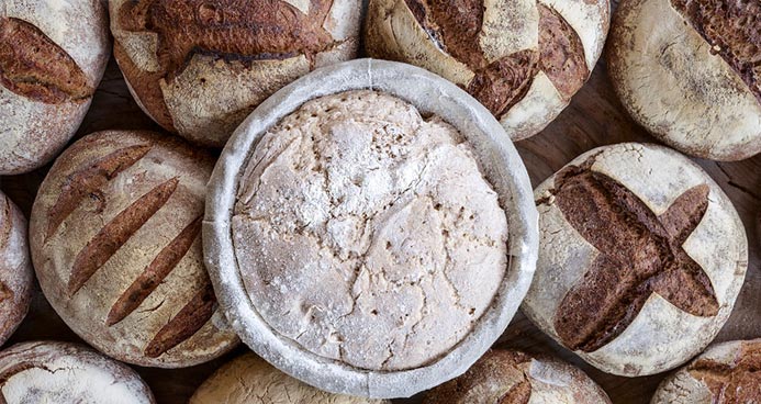 Le Pain Quotidien Brand Story 1