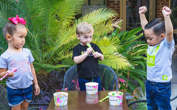 yogurtland-brand-2